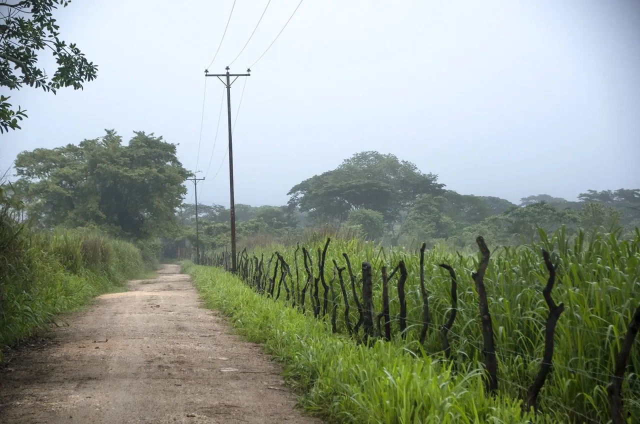 C08.jpg