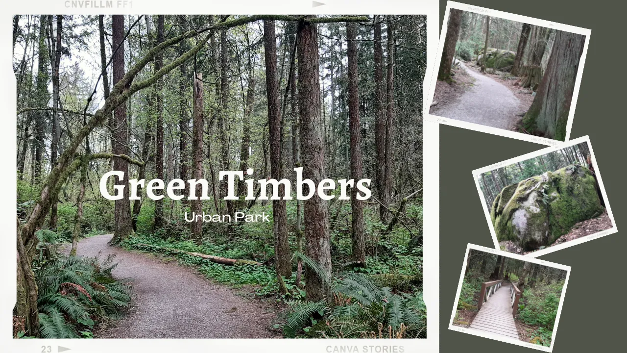 Green Timbers Park.png