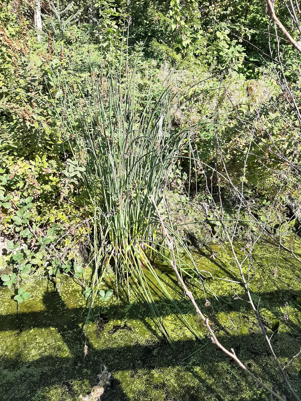 20221003_140730.jpg