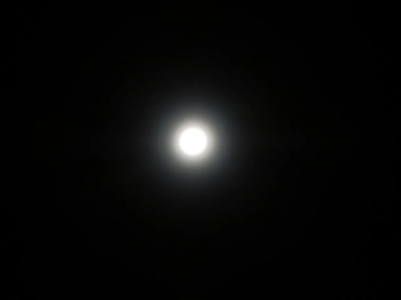 IMG_0084.JPG