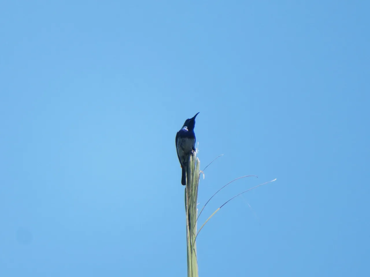 IMG_9608.JPG