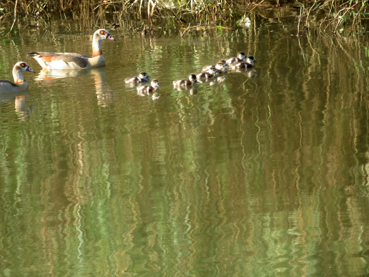 IMG_4726.JPG