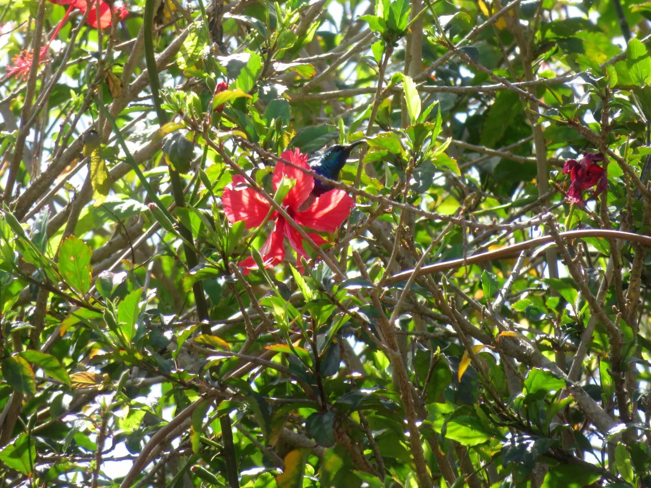 IMG_5306.JPG