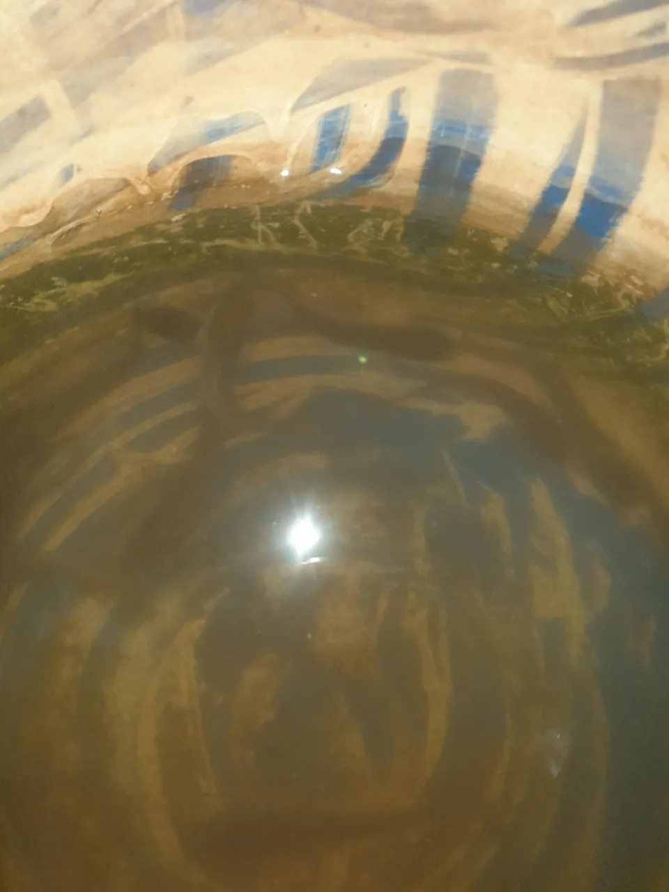 20250302_192505.jpg