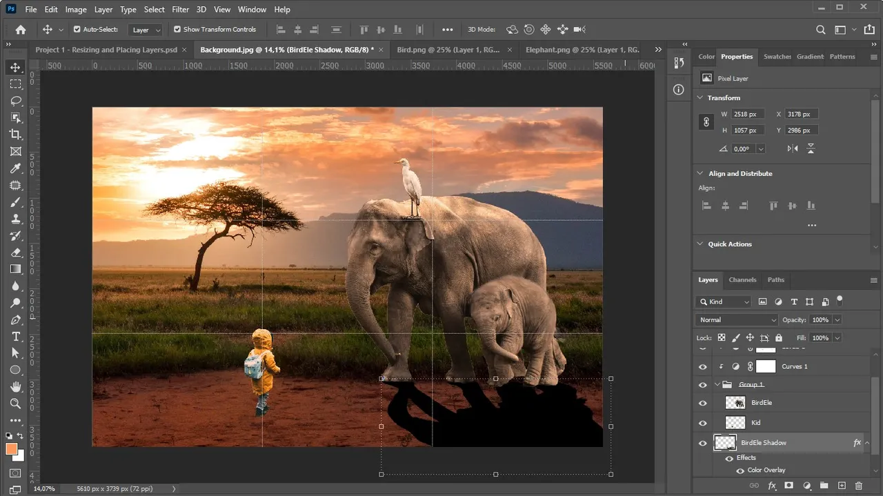 Screenshot_19.jpg