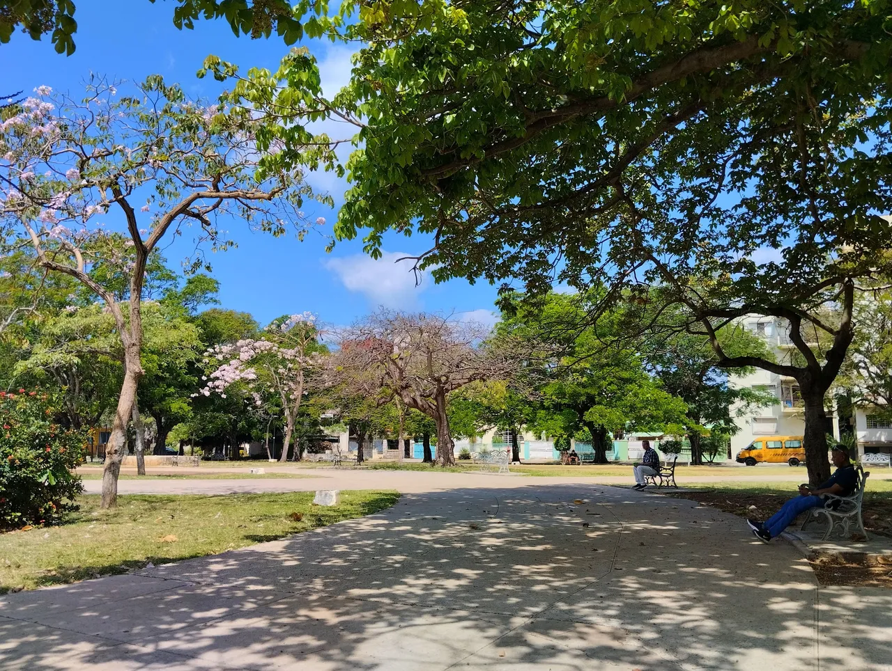 park1.jpg