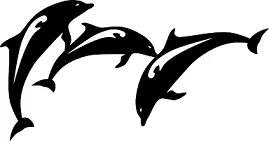 dolphin-g90c87ccbf_1280.png