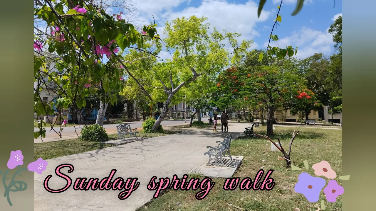 Sunday spring walk