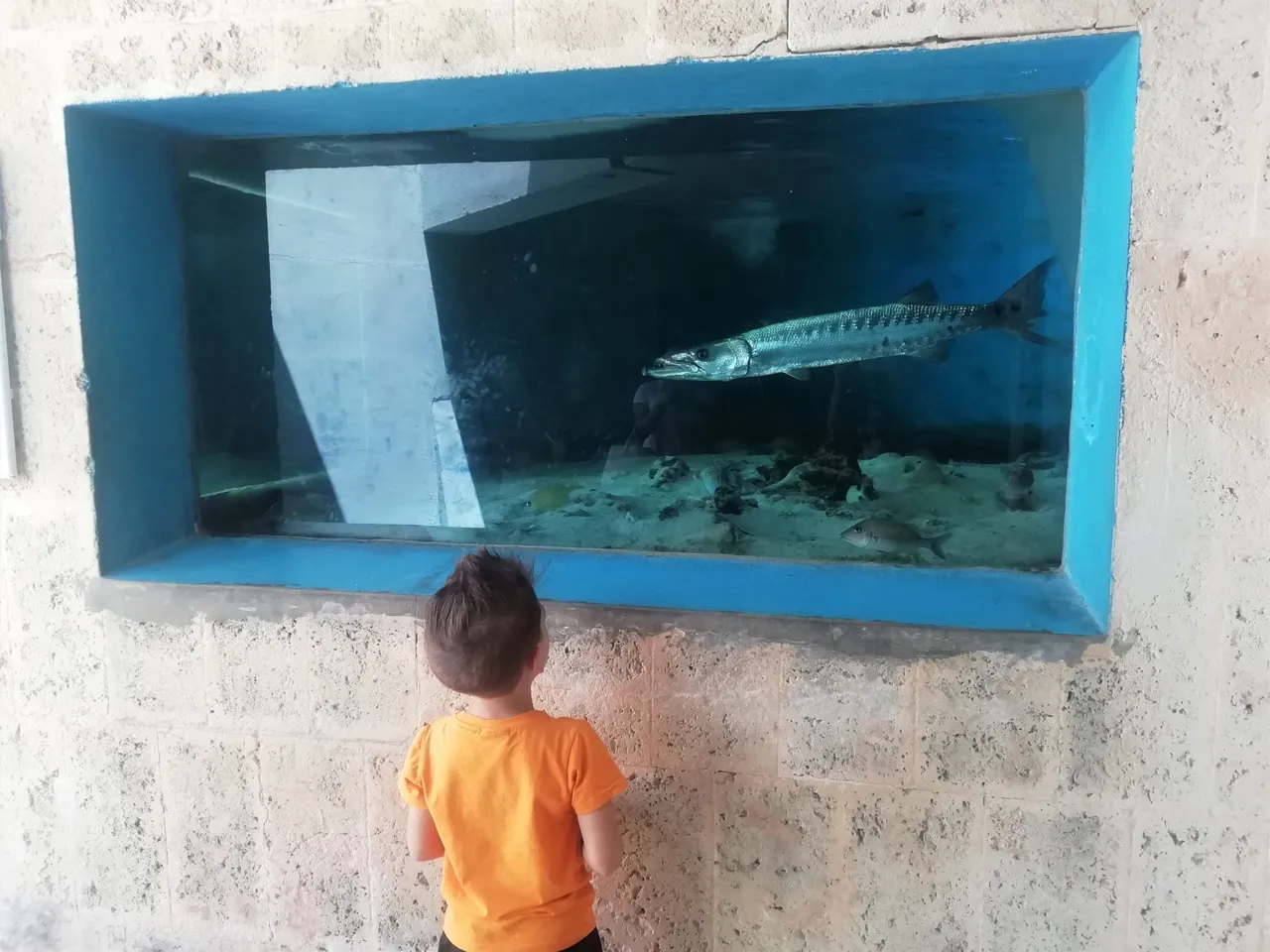 Peceras 4.jpg