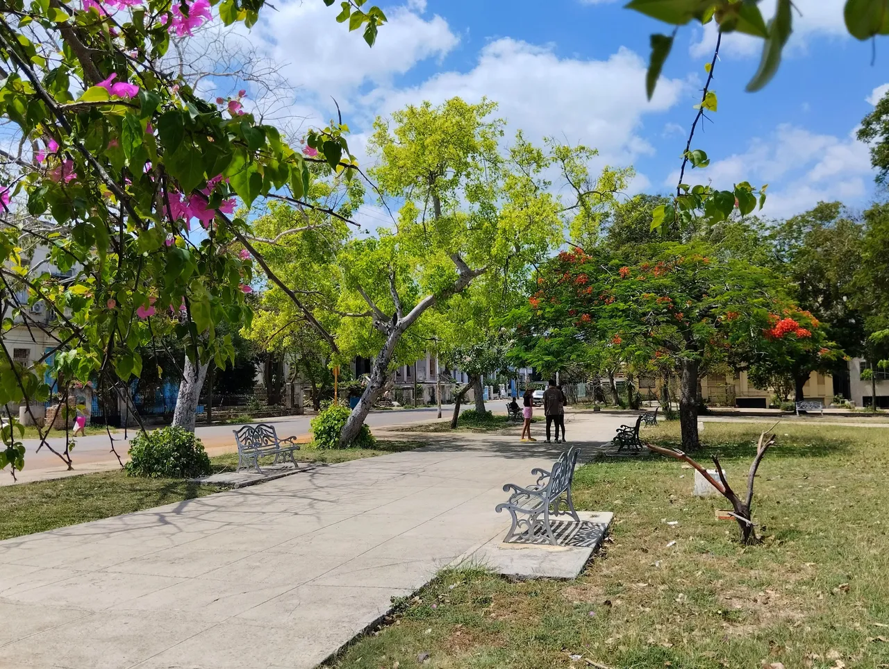 park3.jpg