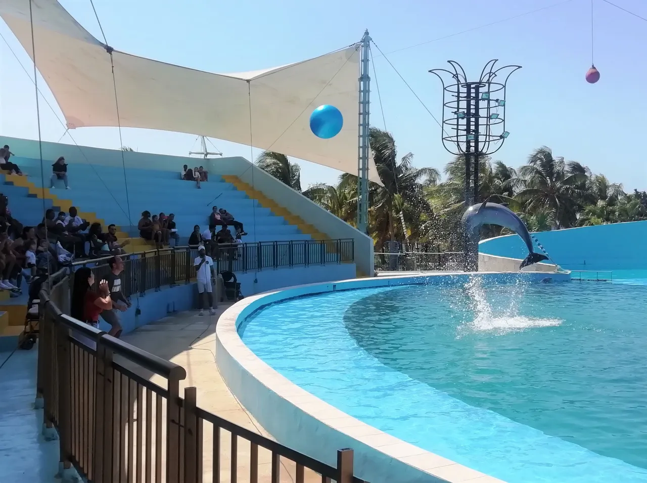 Delfines gente1.jpg