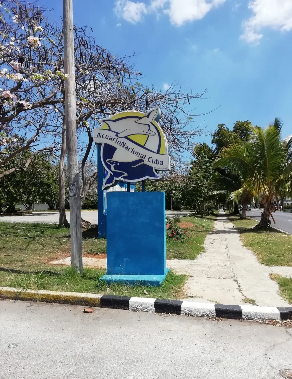 Entrada.jpg