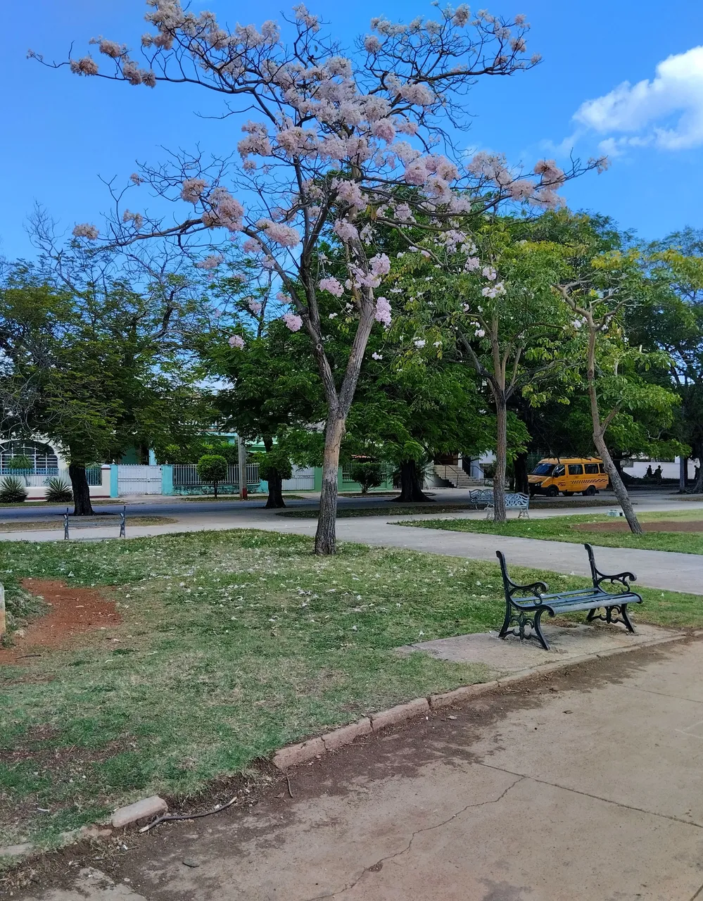 park6.jpg