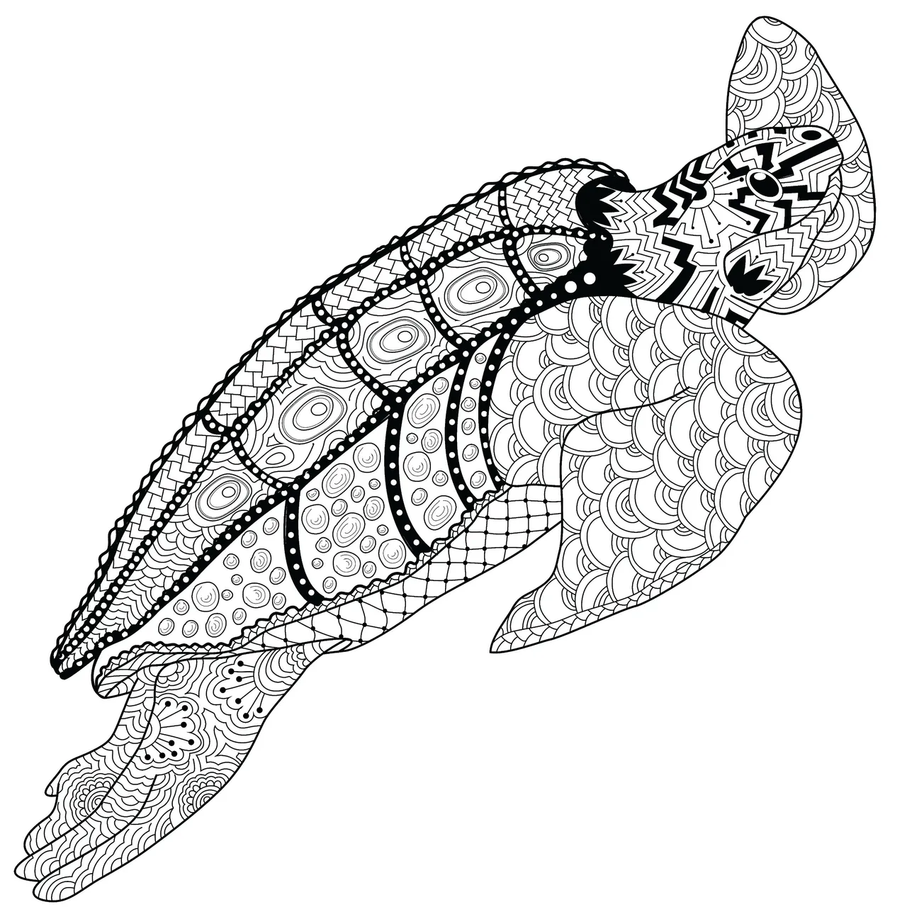 Loggerhead turtle.png