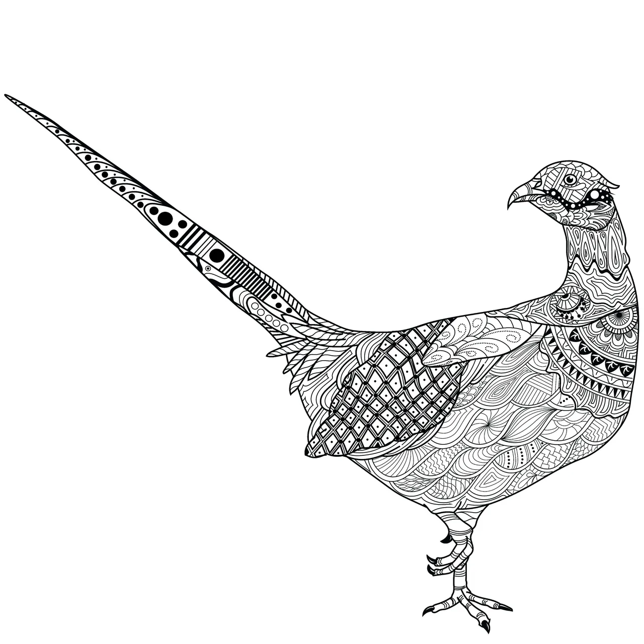 Pheasant-01.jpg