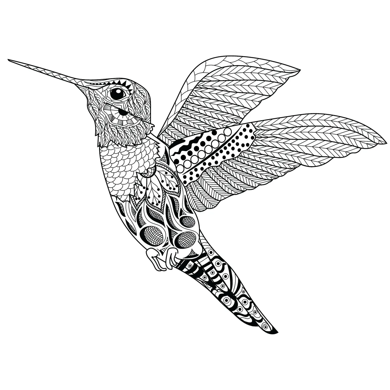 Hummingbird.png