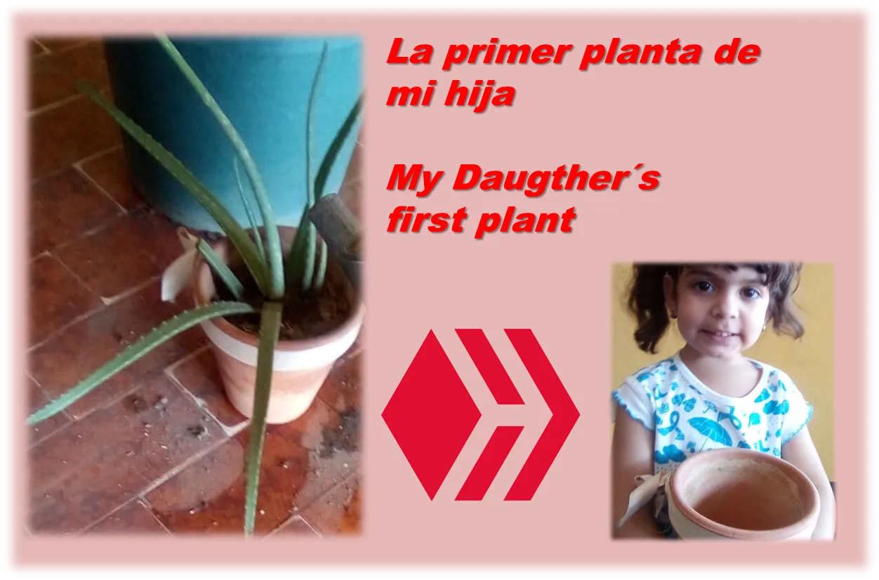 victoria planta 5.jpg.png