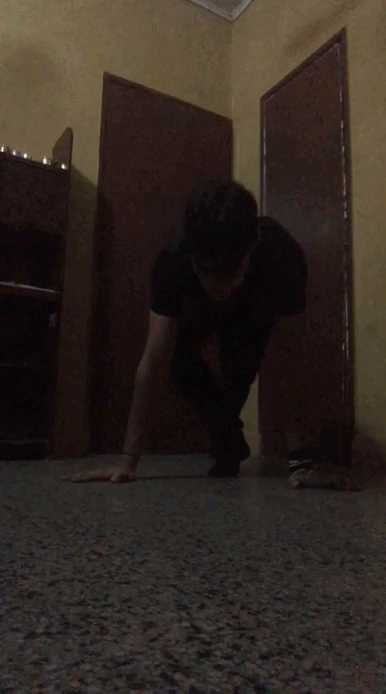 5.gif