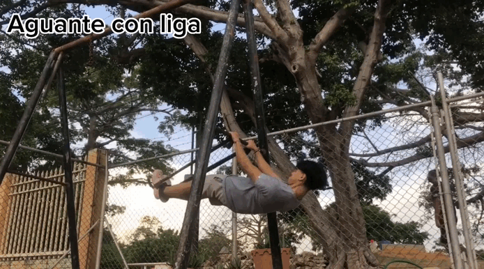 IMG_6132.gif