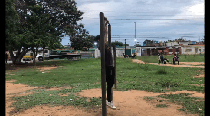 elevaciones de escapula.gif