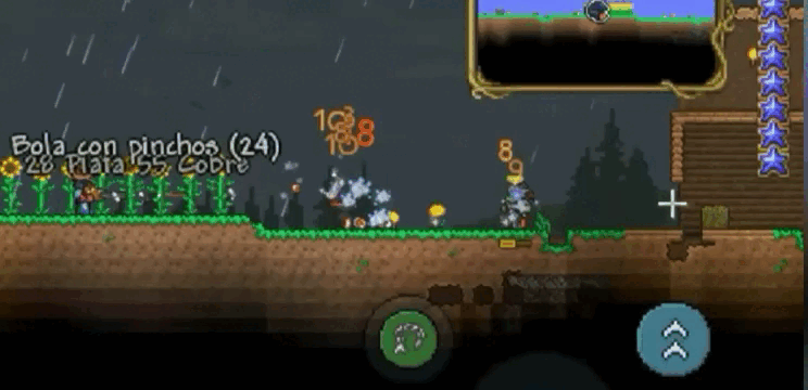 YouCut_20220621_000158531.gif