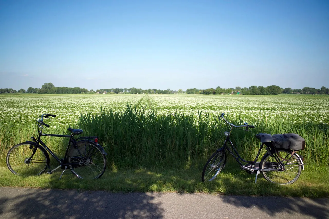 bike fields.jpg