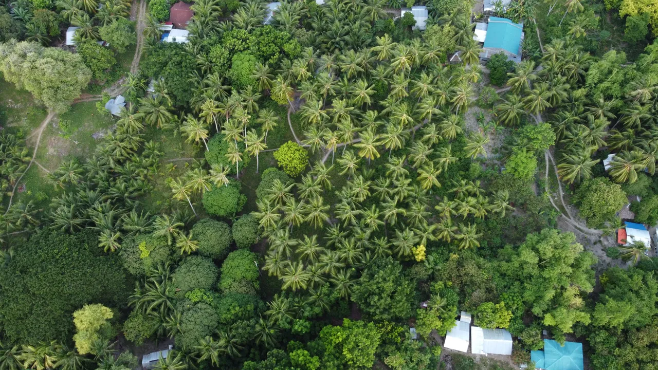 DJI_0945.JPG