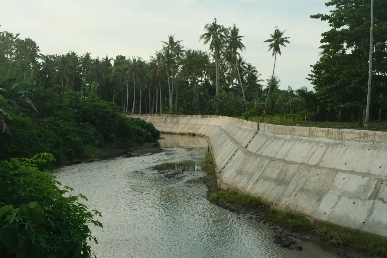 DSCF4560.JPG