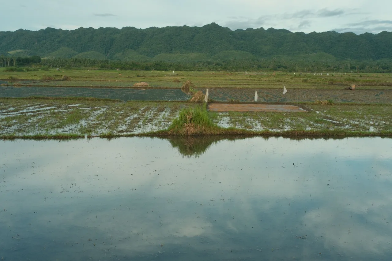 DSCF4579.JPG