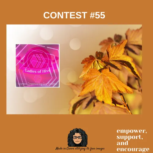 LadiesOfHive-Contest.png