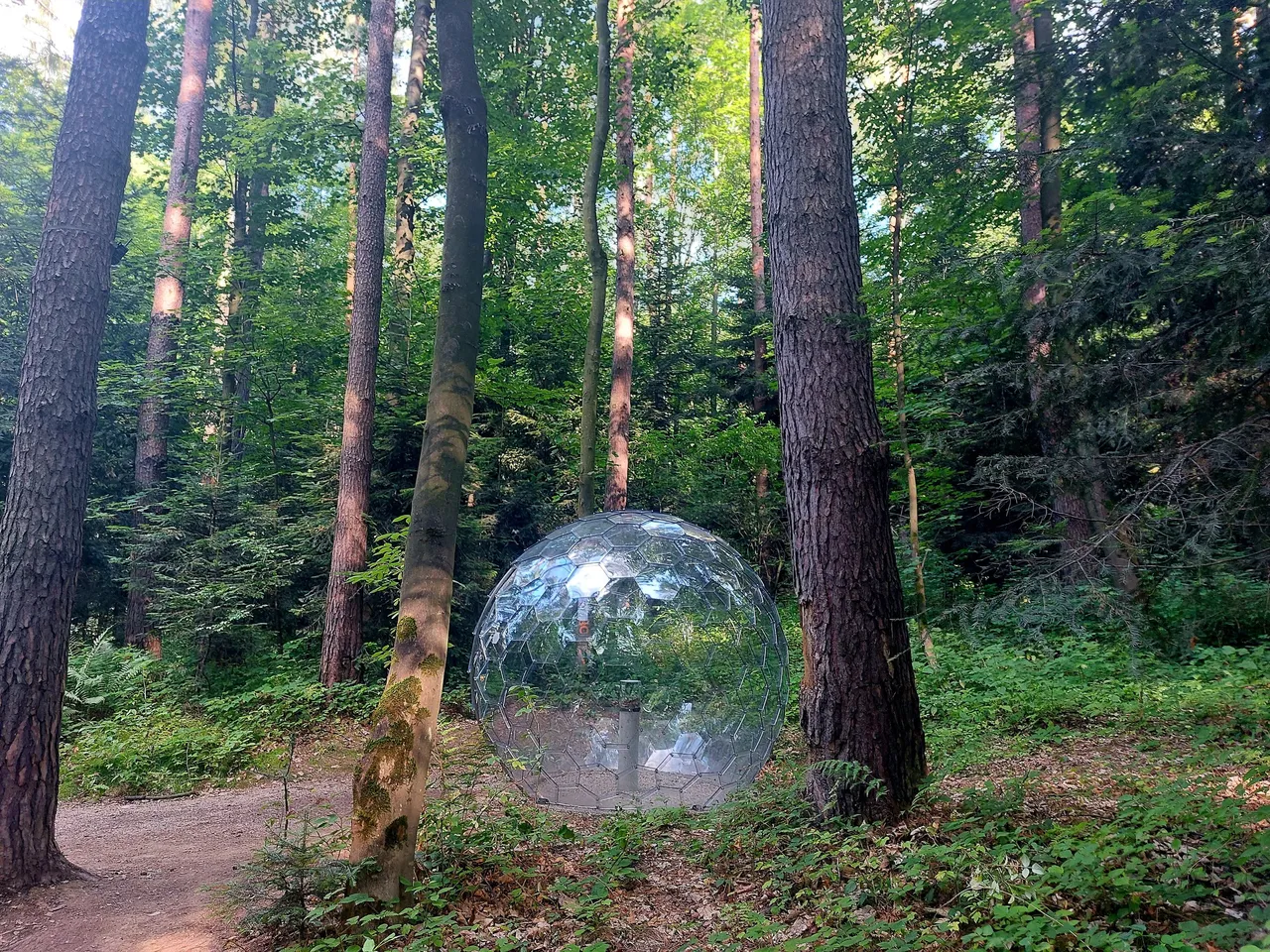 20220709_170603.jpg