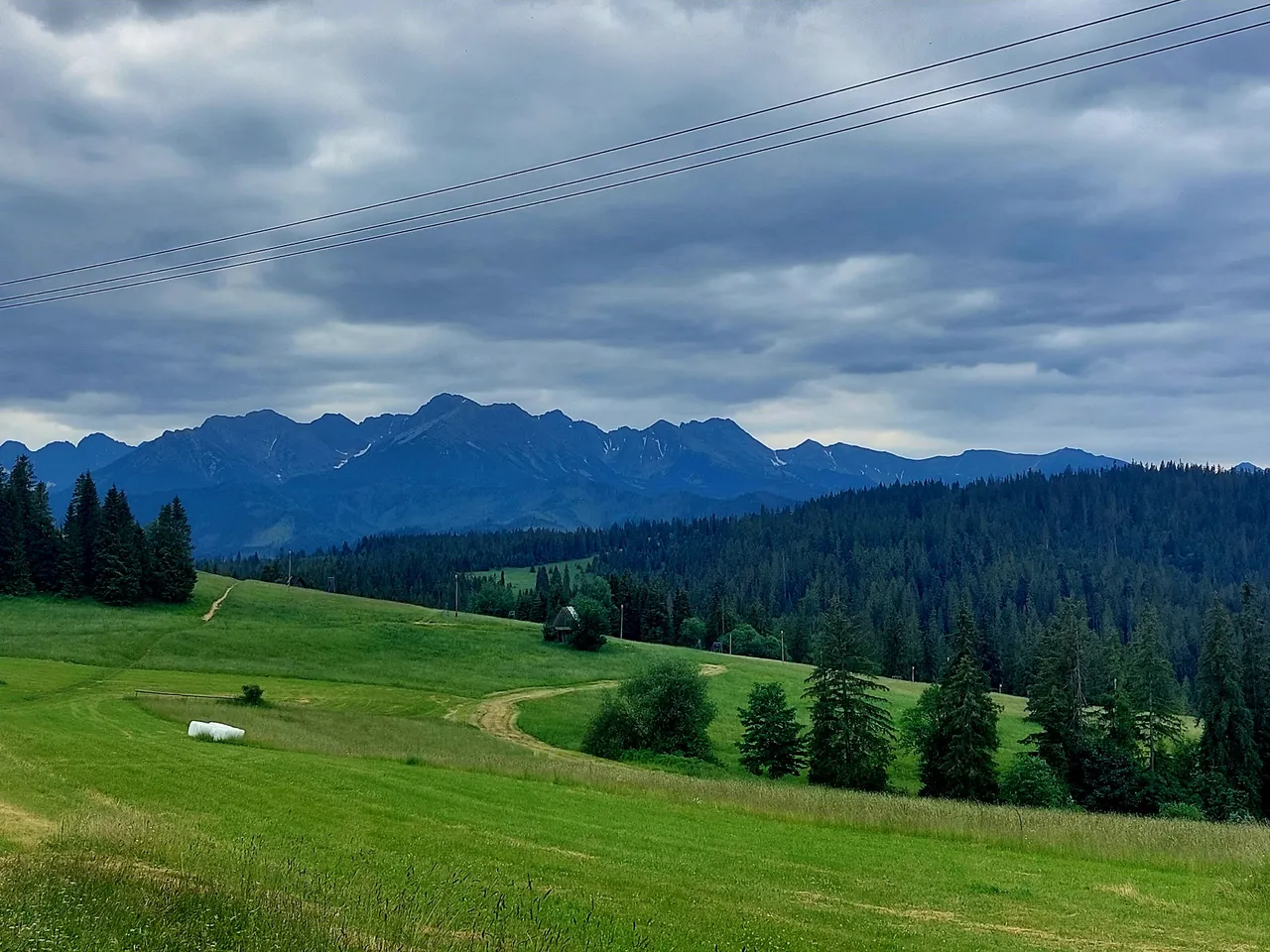 20220625_113450.jpg