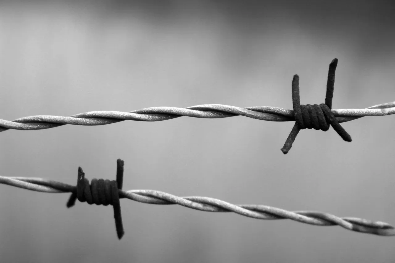 barbed-wire-1269430_1920.jpg