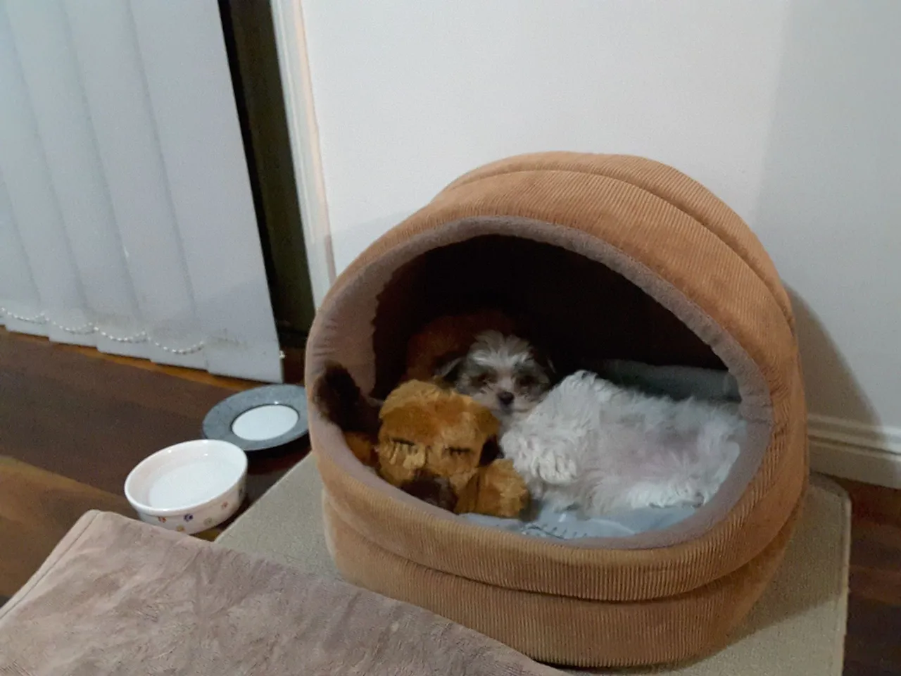 20180713_195609.jpg