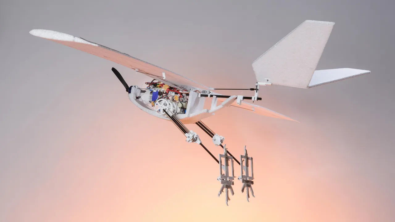 EPFL RAVEN