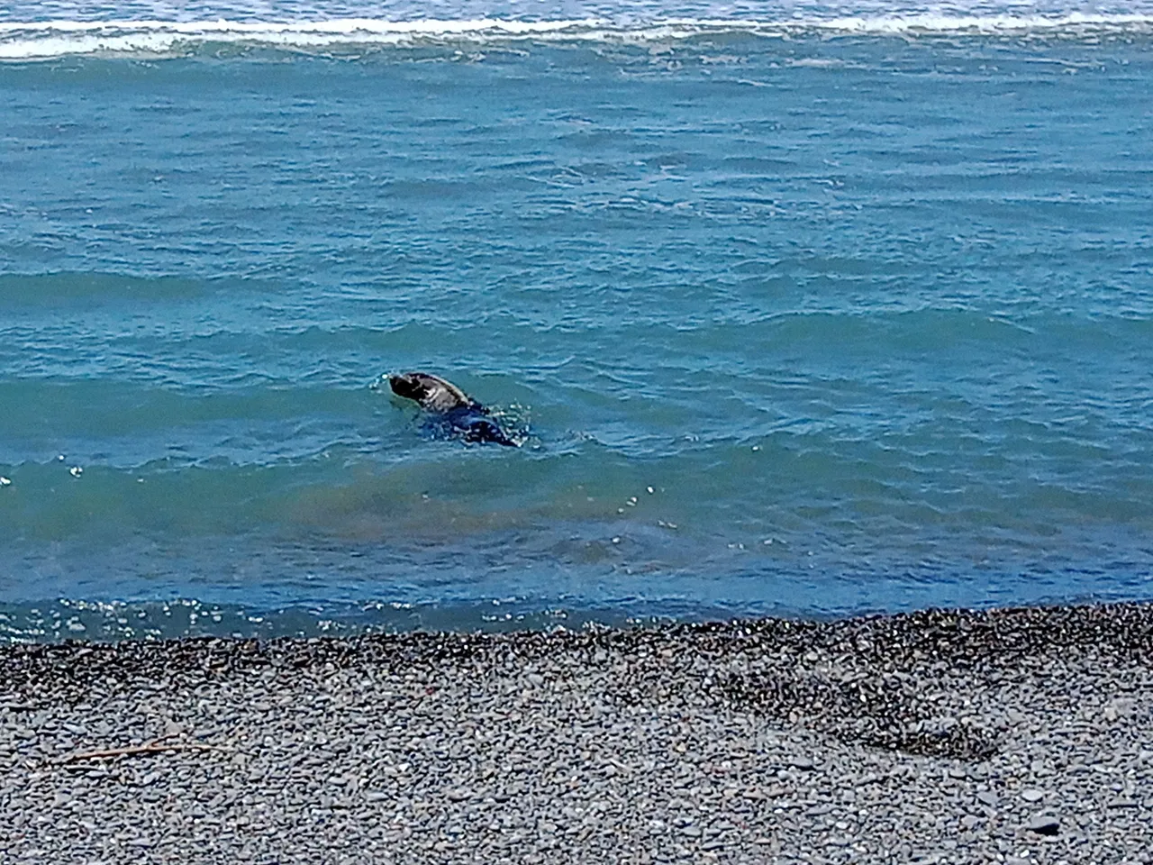 IMG_20241117_132617_647.jpg
