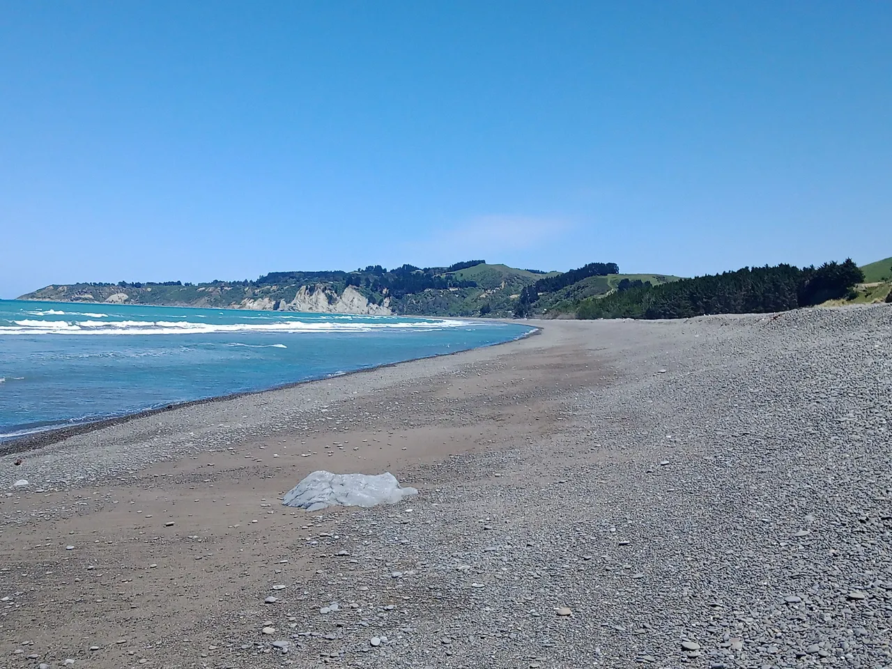 IMG_20241117_132824_229.jpg