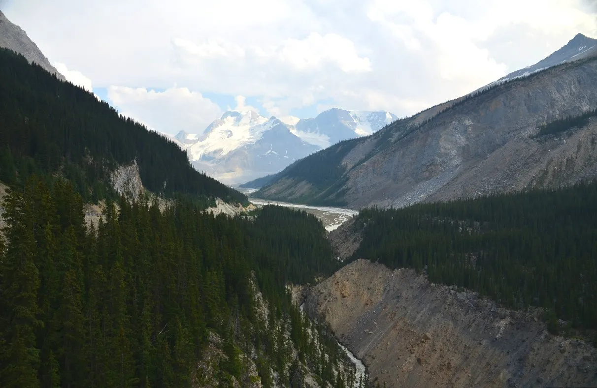 sunwapta.jpg