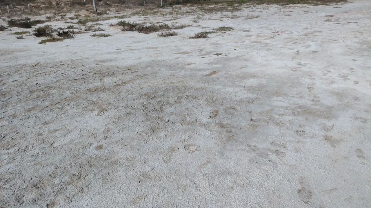 IMG_20230721_132607290.jpg