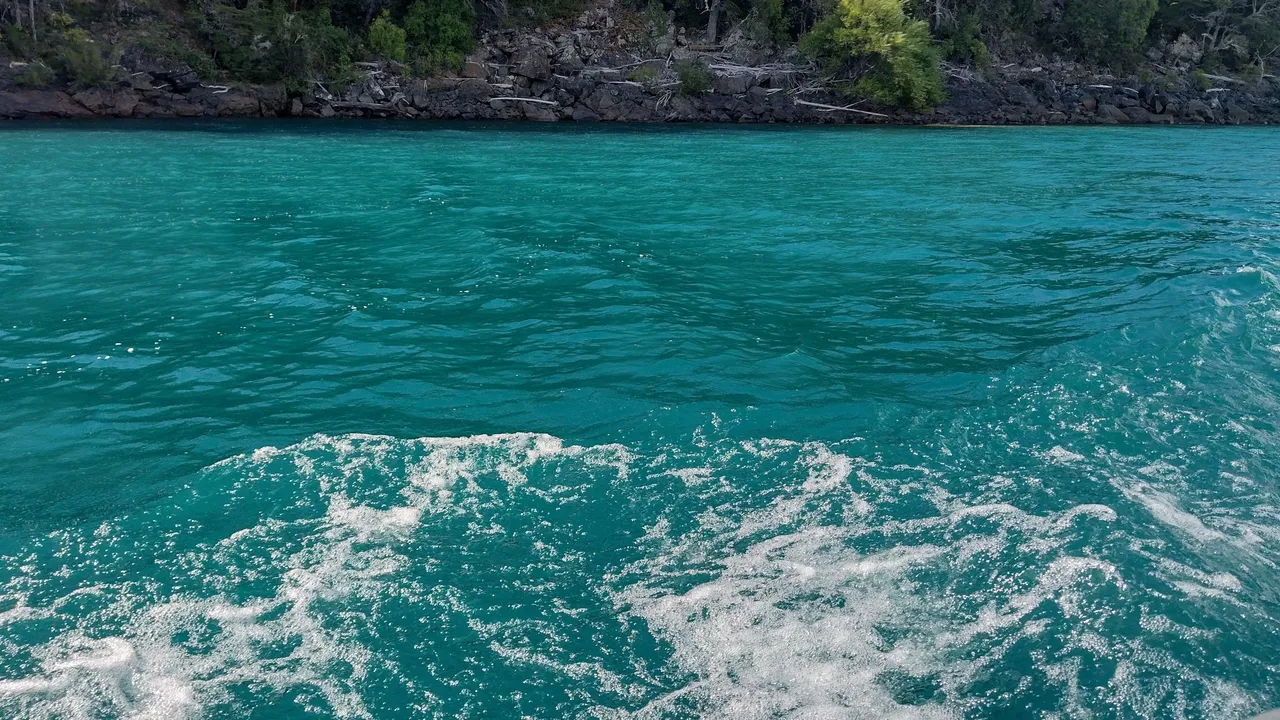 IMG_20220203_175439751_HDR~2.jpg