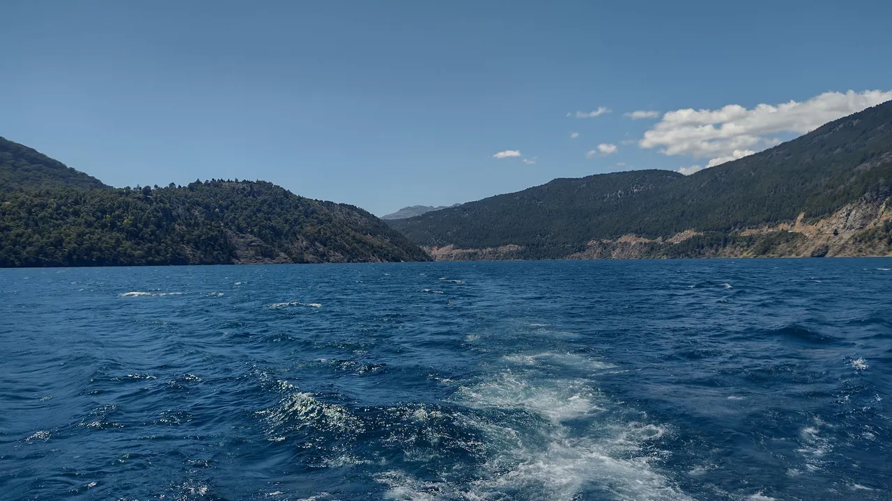 IMG_20220129_131539523_HDR.jpg