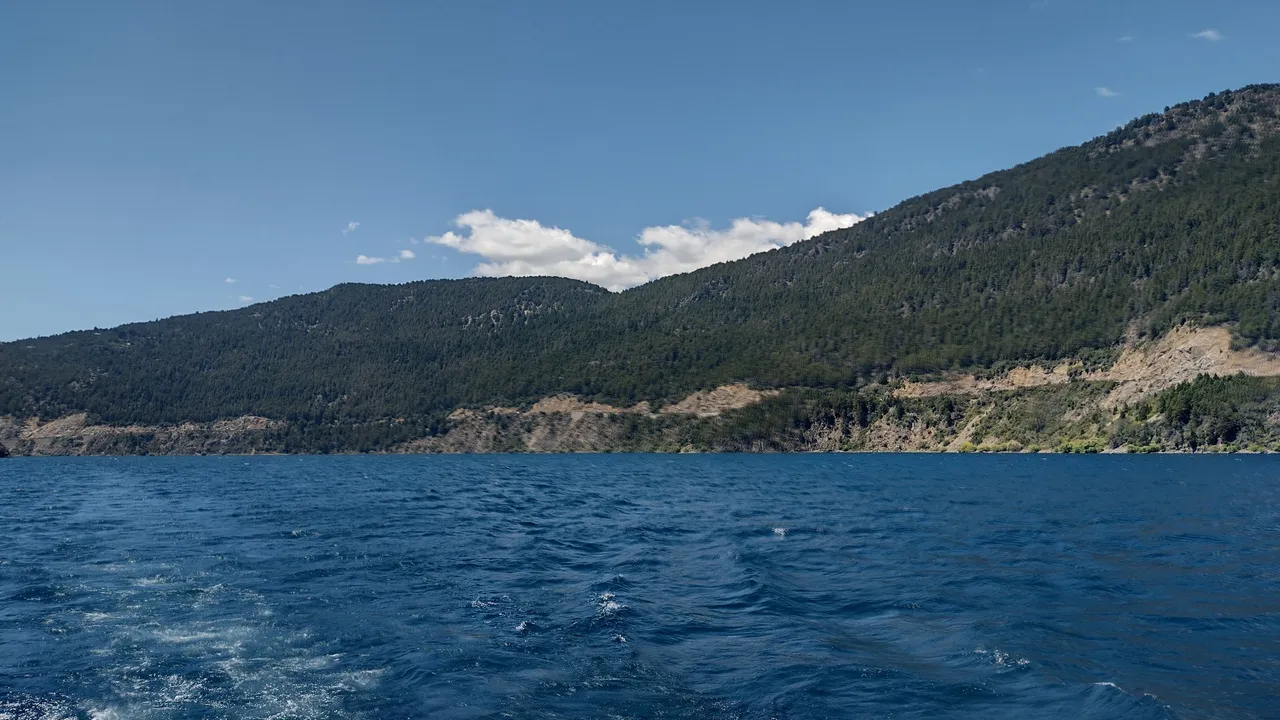 IMG_20220129_131116781_HDR~2.jpg