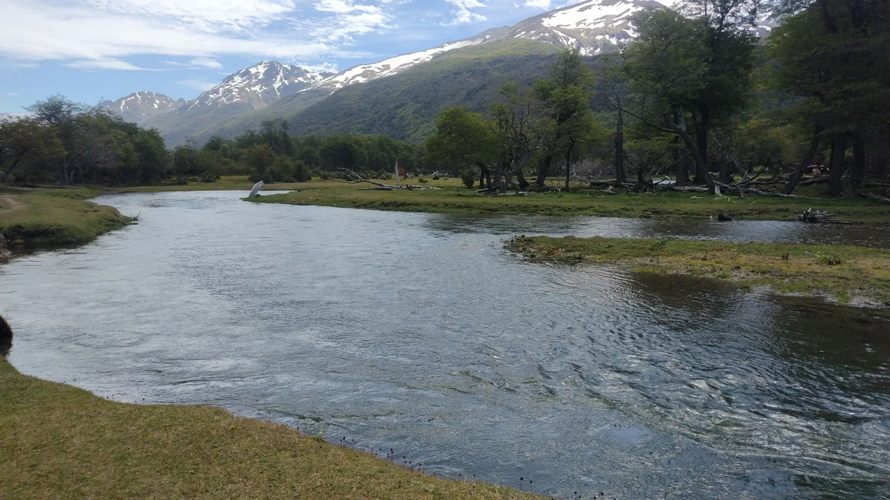 IMG_20231208_141926562.jpg