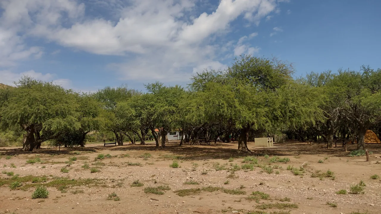 IMG_20220124_112702311_HDR.jpg