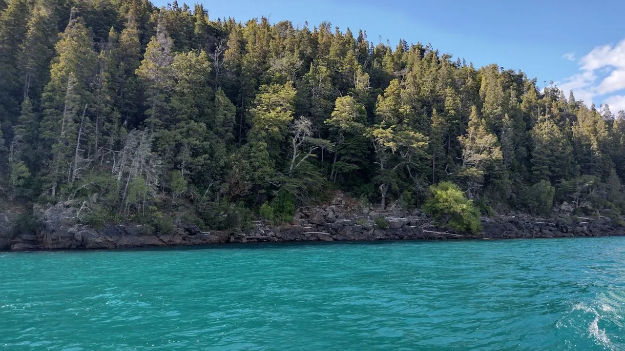 IMG_20220203_175441986_HDR.jpg