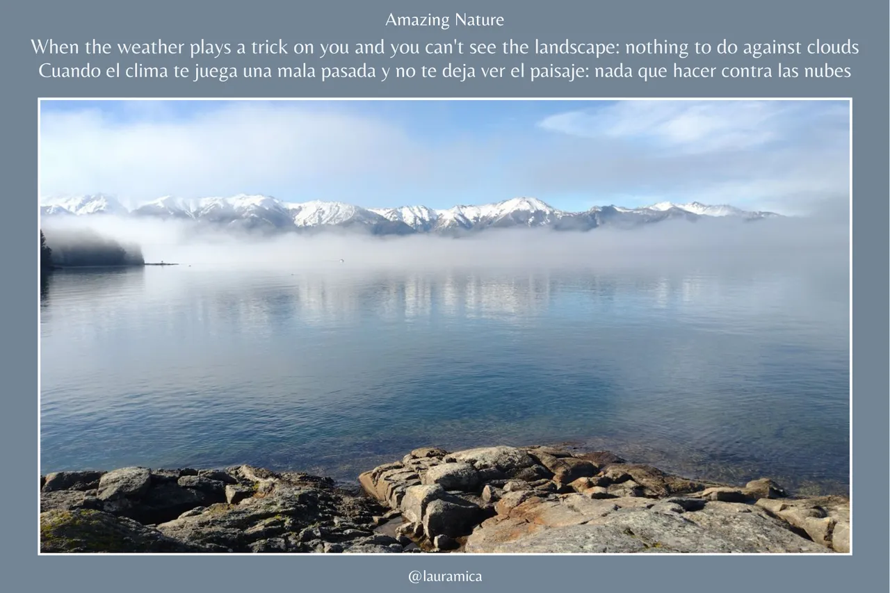 Amazing Nature (1).png