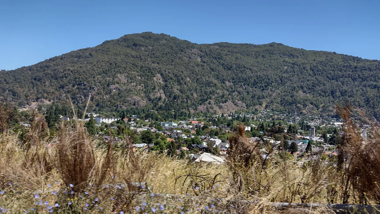 IMG_20220131_125910118_HDR.jpg