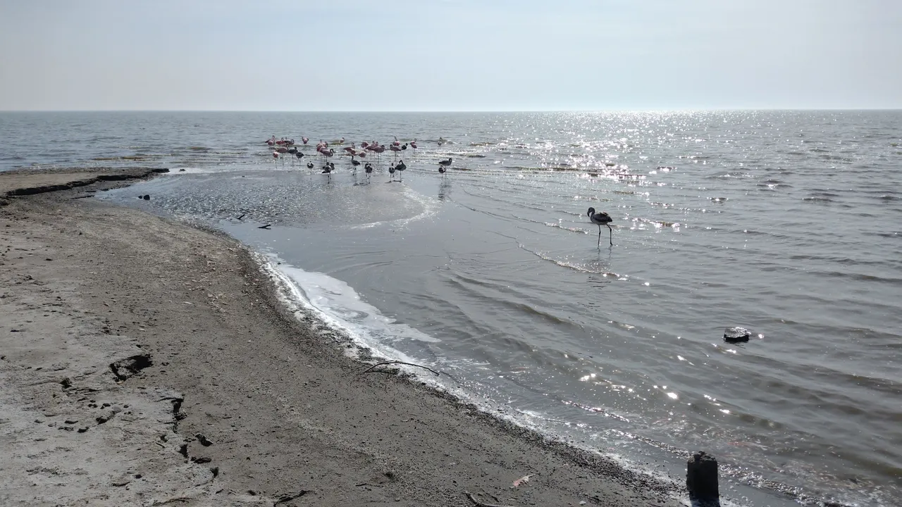 IMG_20230721_133615268~2.jpg