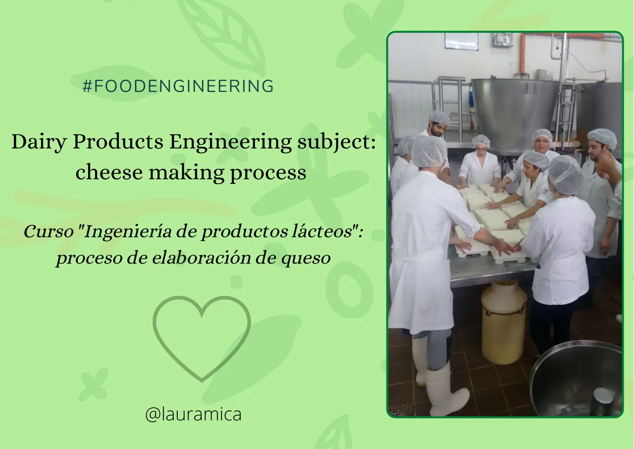 STEM geeks - Food Engineeering (1).png
