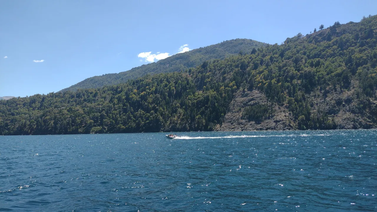 IMG_20220129_131000098.jpg